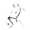 Bride avec muserolle mexicaine Equestro - Noir