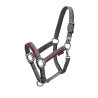 Licol en nylon avec longe Red Trim Equestro - Gris / rouge / noir