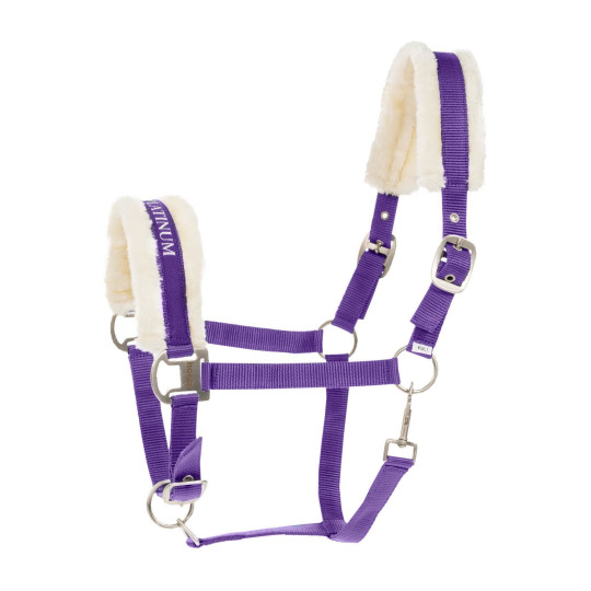 Licol Pour Cheval Harry's Horse – Avec Initiale – Violet – Taille M – Réglable – Polypropylène + Coton – Longueur 180 Cm