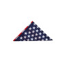 Bandana avec Motif Drapeau USA ou Confédéré Pool's - Drapeau sudiste