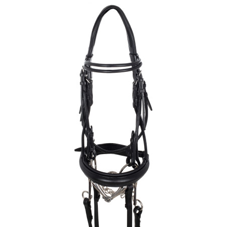 Bridon de Dressage Double avec Frontal Rond Supreme