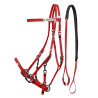 Bridon Licol en Biothane Lakota - Bordeaux