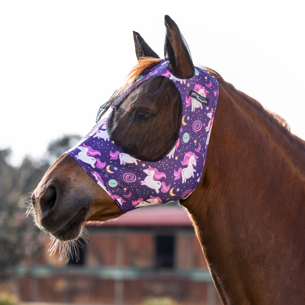 Masque anti-mouche- Equipement du cheval