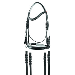 Bride pour cheval de loisir, bride double, noire. Accessoires pour chevaux de loisir. - Canada