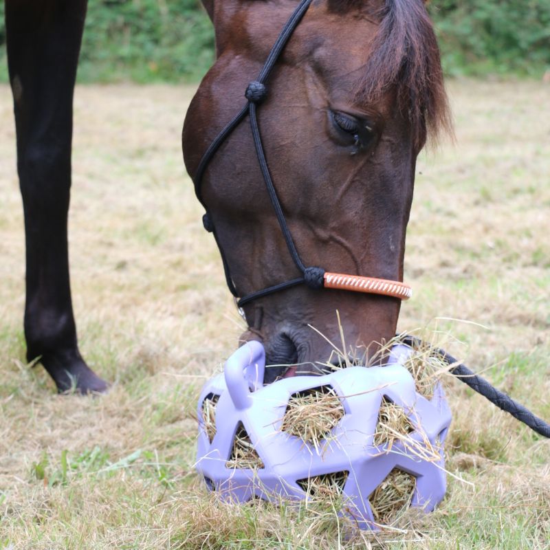 Balle de jeu / balle à foin Kentucky Gris