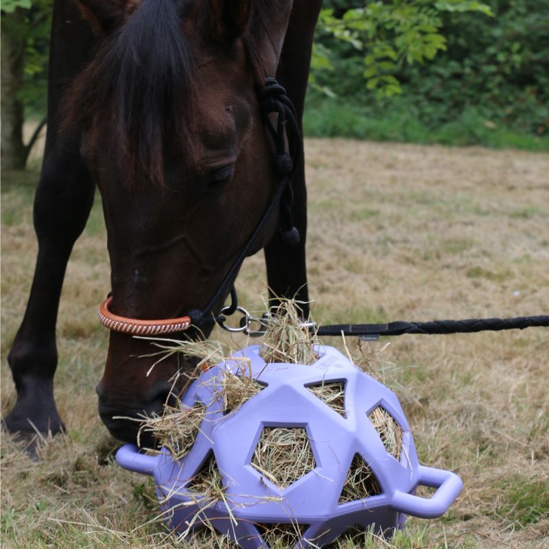 Balle de jeu / balle à foin Kentucky Gris