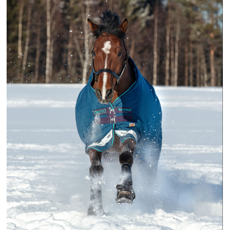 Couverture Horseware Rhino Original Vari-Layer 250g 1000D