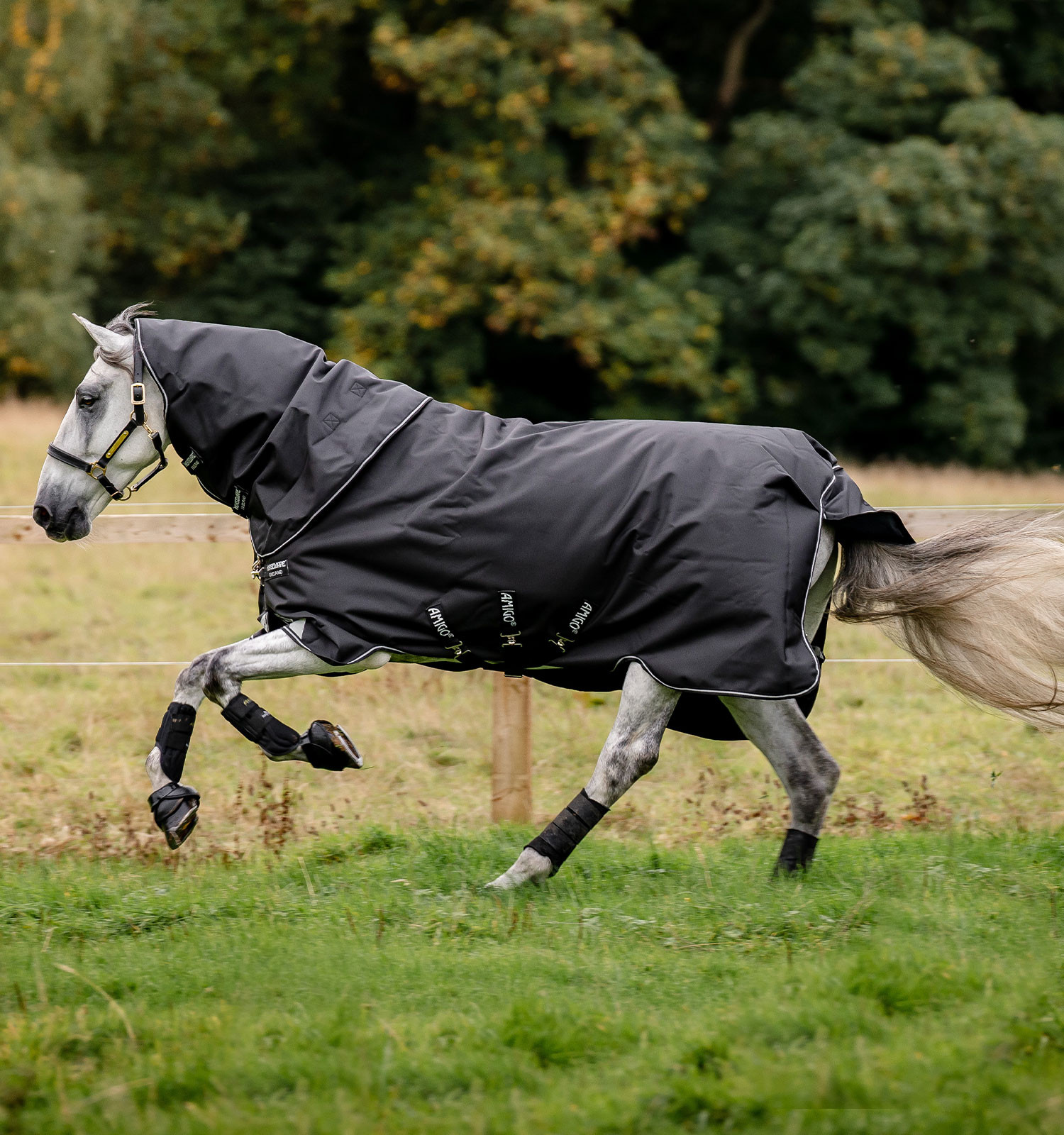 Couverture Horseware Amigo Super Bravo Plus 250g Noir / noir / blanc Couverture Horseware Amigo Super Bravo Plus 250g Noir / noir / blanc