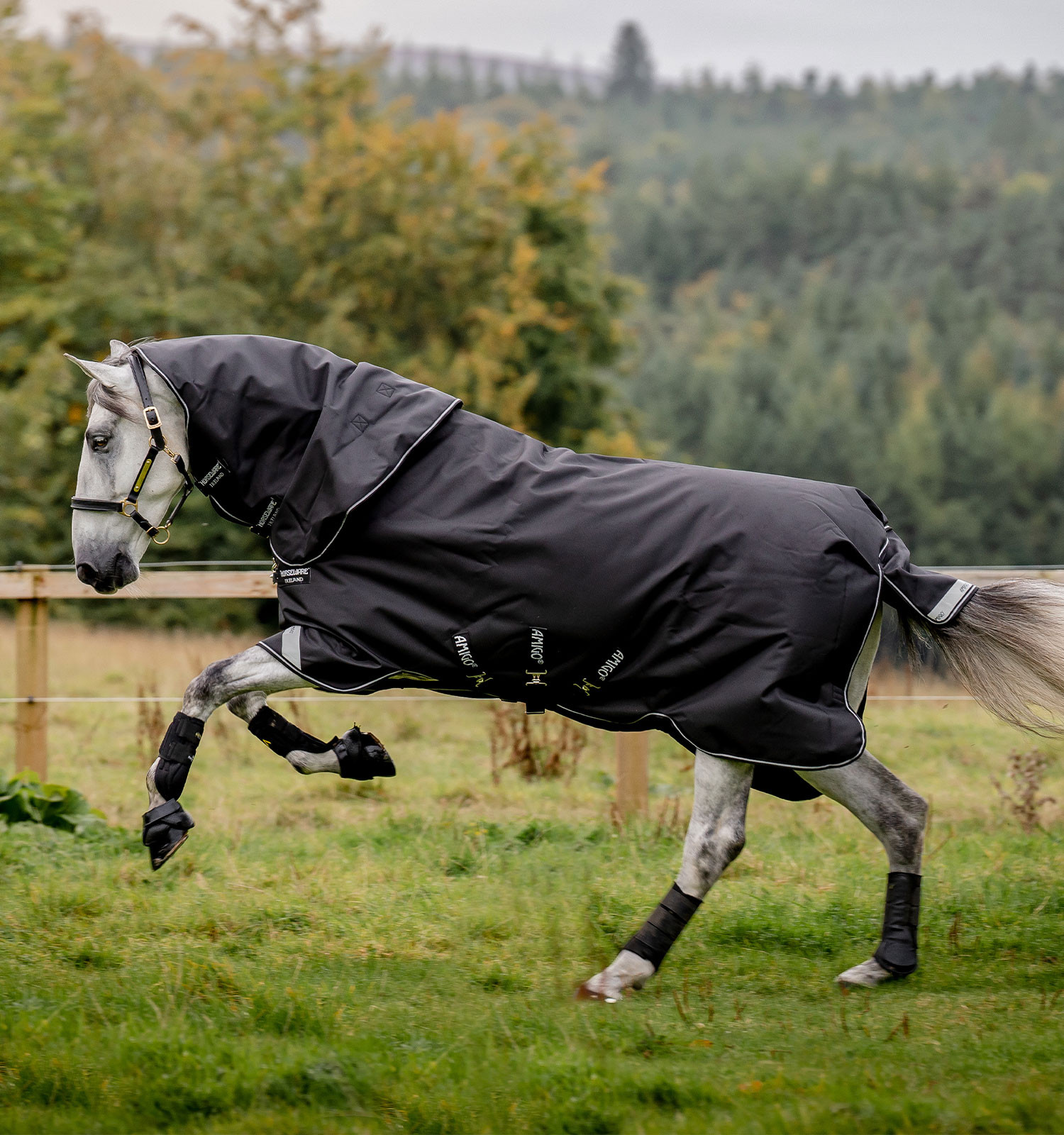 Couverture Horseware Amigo Super Bravo Plus 250g Noir / noir / blanc Couverture Horseware Amigo Super Bravo Plus 250g Noir / noir / blanc