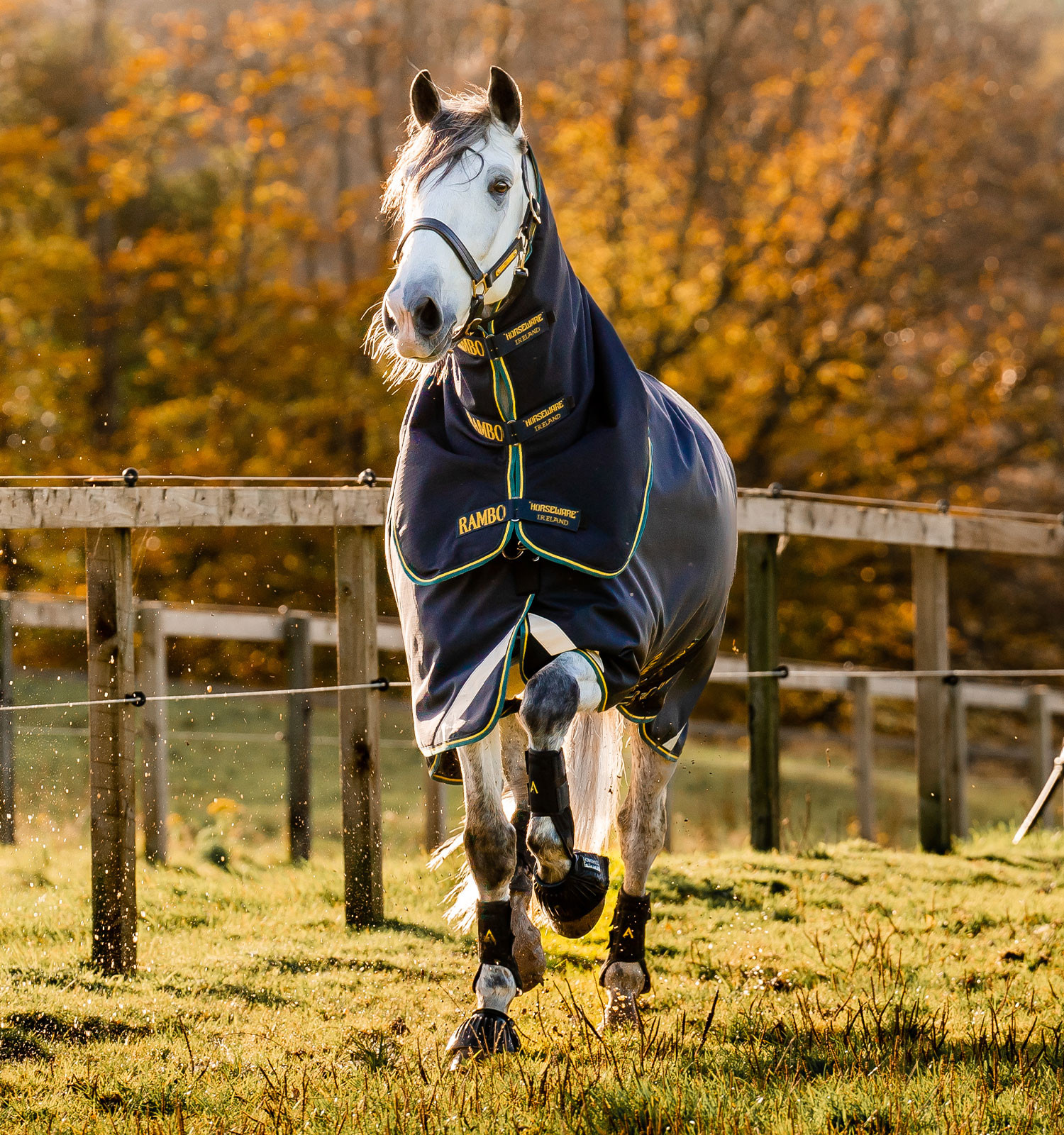 Couverture Horseware Rambo Duo Force 2.0 100 g avec liners 100 et 300 g Bleu marine / bleu sarcelle
