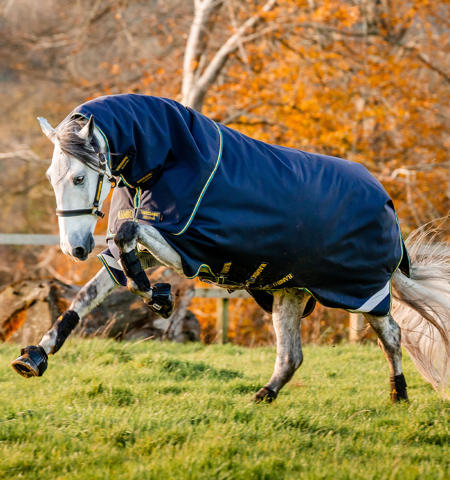 Couverture Horseware Rambo Duo Force 2.0 100 g avec liners 100 et 300 g Bleu marine / bleu sarcelle