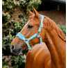 Licol Horseware de pansage Signature - Brume bleu