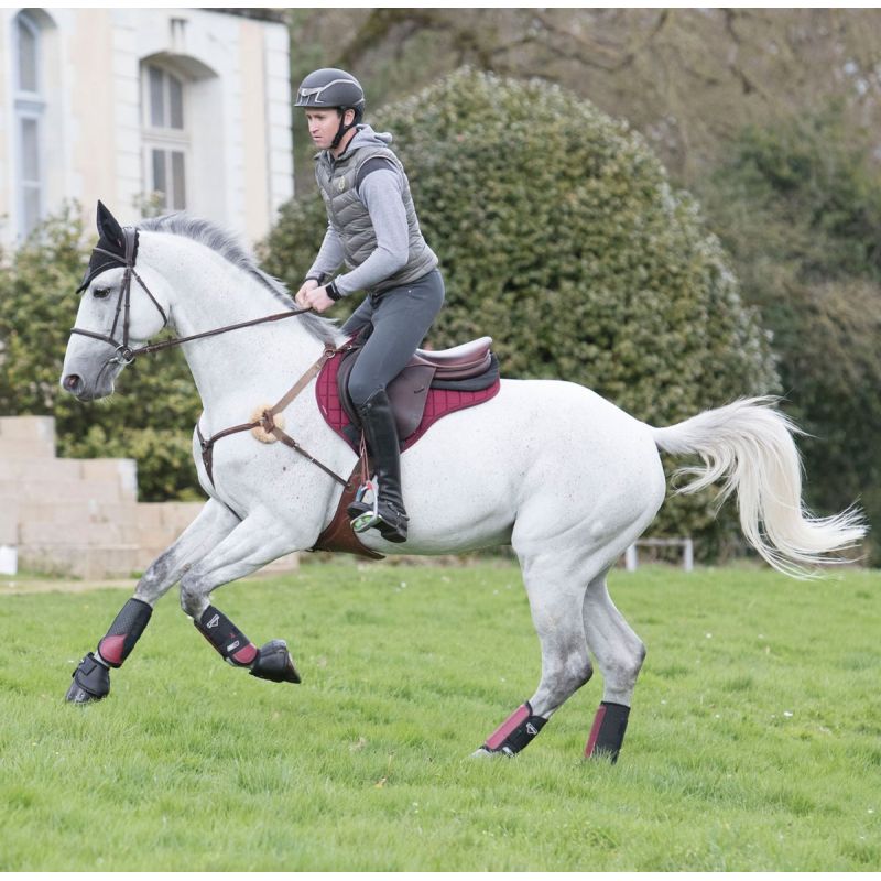 Lemieux Prosport 3D Mesh Air Close Contact Half Square LeMieux