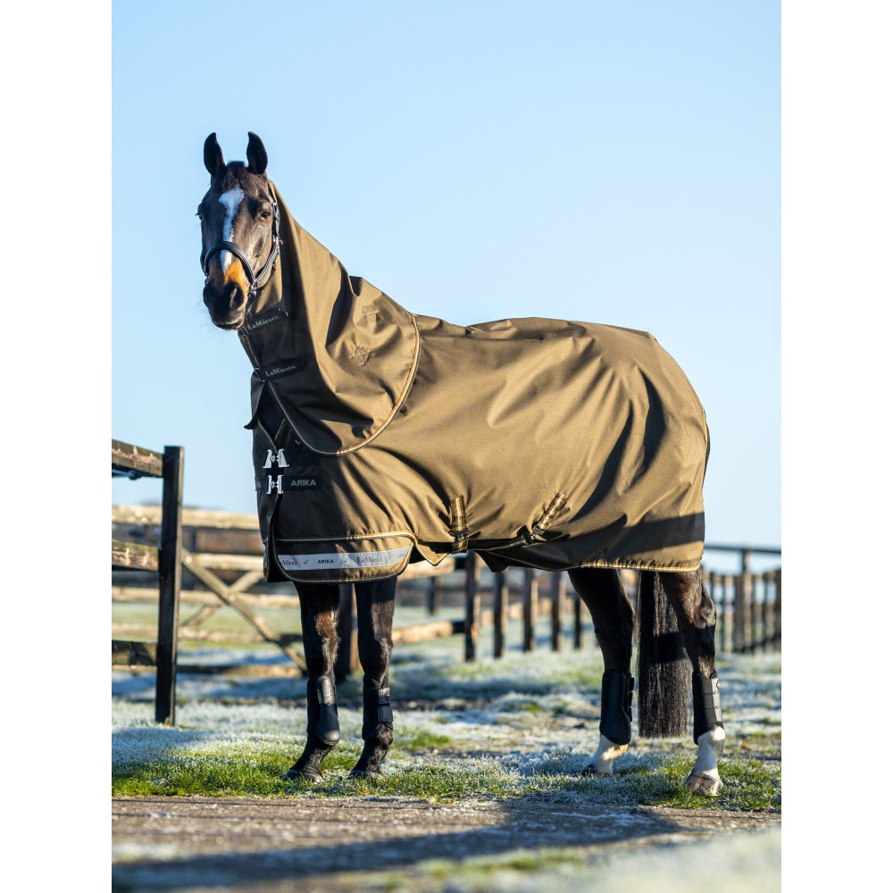 Guide des tailles de couvertures pour chevaux : trouvez la