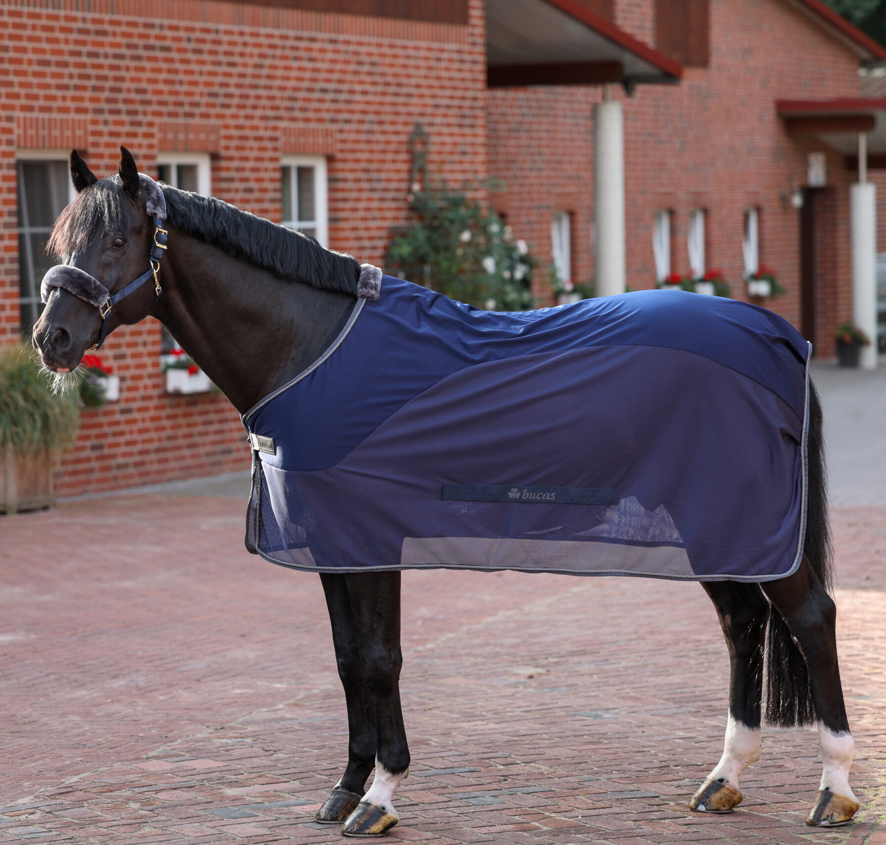 Couverture Bucas de compétition Show-Line Marine / gris Bleu