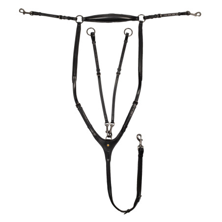 Collier de chasse et martingale en cuir amovible Equestro