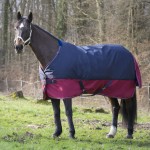 Couverture Equi-Theme TYREX 1200 D 0g Marine / bordeaux Couverture Equi-Theme TYREX 1200 D 0g Marine / bordeaux