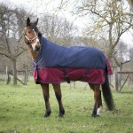 Couverture Equi-Theme Tyrex 1200 D High Neck 300g Marine / bordeaux Couverture Equi-Theme Tyrex 1200 D High Neck 300g Marine / bordeaux