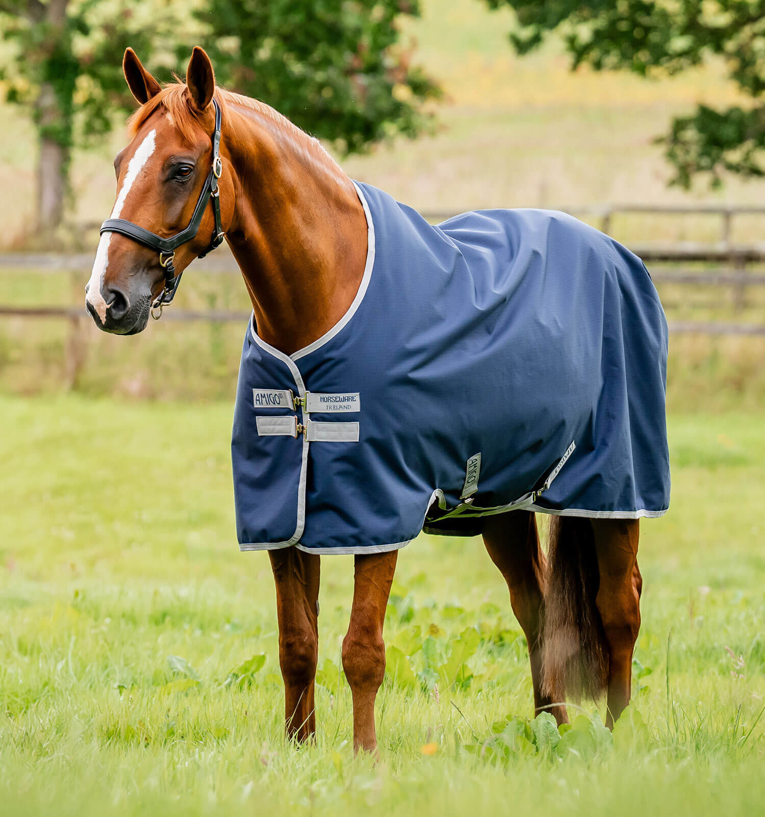Couverture Amigo Ripstop Horseware 900D Turnout 50g Marine / gris titane Bleu marine Couverture Amigo Ripstop Horseware 900D Turnout 50g Marine / gris titane Bleu marine