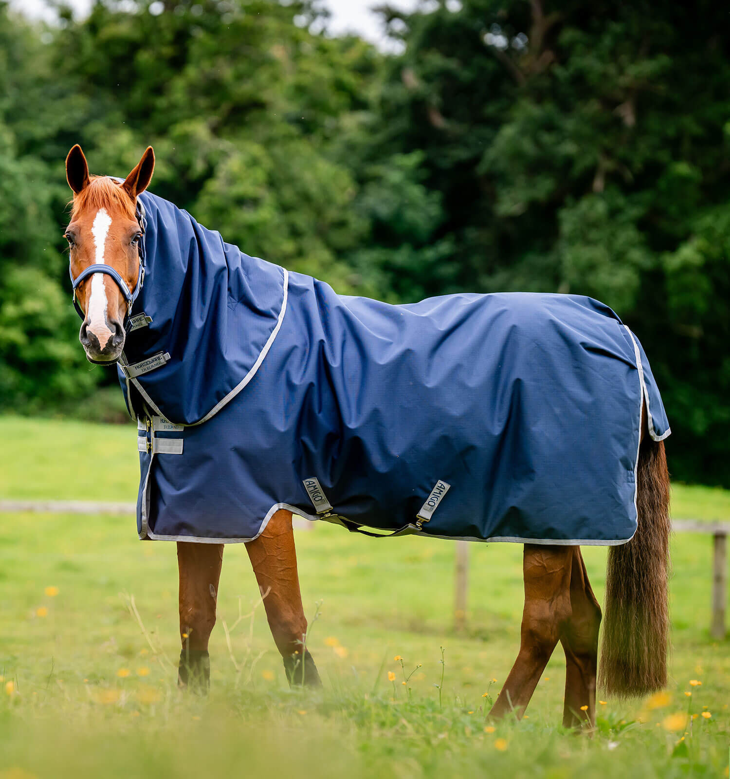 Couverture Amigo Ripstop Horseware 900D Plus Turnout 100g Marine / gris titane Bleu marine Couverture Amigo Ripstop Horseware 900D Plus Turnout 100g Marine / gris titane Bleu marine