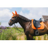 Bonnet anti-mouches Kentucky Wellington Diamond Rope - Orange