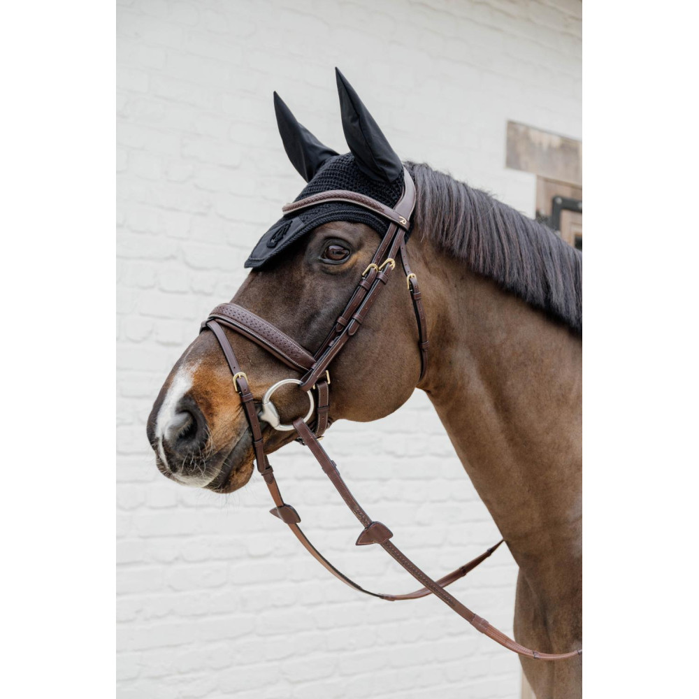 Le mors idéal pour votre cheval - quel type choisir