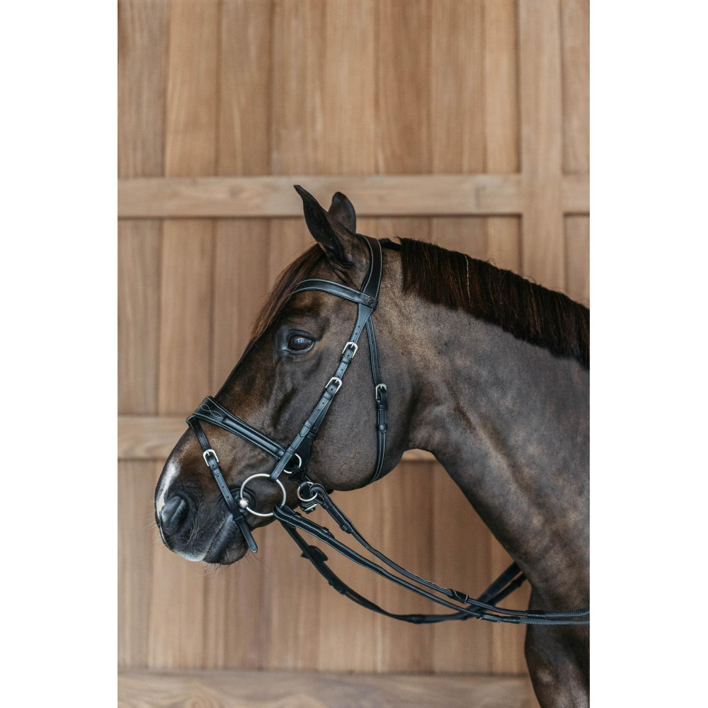 Bride Et Rênes D'entraînement Collegiate Comfitec Marron - Occasion Taille Cheval
