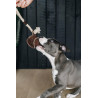 Jouet pour chien Cotton Rope Baseball Kentucky - Marron
