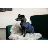 Manteau pour chien Pearls Kentucky - Marine