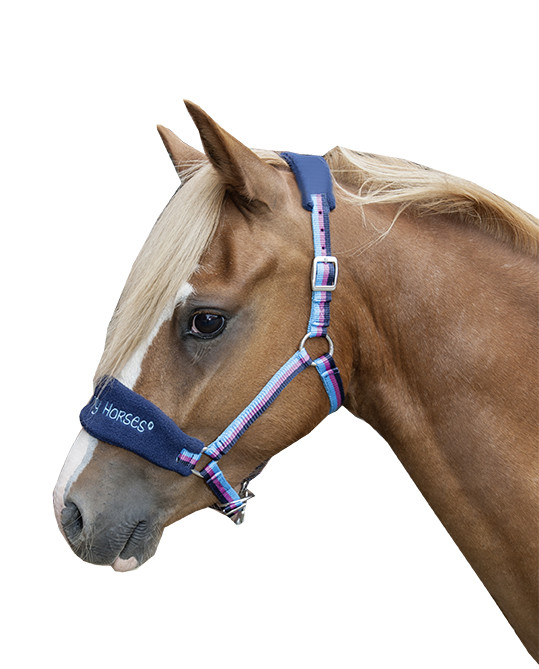 Licol Funny Horses HKM Bleu foncé, bleu, rose foncé Multi-couleurs