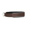 Collier pour chien Charlie Back on Track - Marron