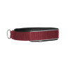 Collier pour chien Charlie Back on Track - Bordeaux
