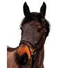 Bridon Canter Club - Marron