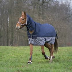 Horze Avalanche 350G Combo Winter Rug Pink Sizes 5/'9-6/'9 NEW