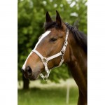 Equi-Theme Nylon halter Black Equi-Theme Nylon halter Black