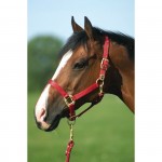 Equi-Theme Nylon halter Black Equi-Theme Nylon halter Black