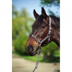 Equi-Theme Nylon halter Black Equi-Theme Nylon halter Black