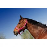 Equi-Theme Nylon halter Black Equi-Theme Nylon halter Black