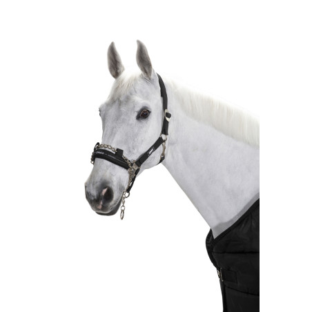 Licol de contrôle chaîne Sliding Eskadron