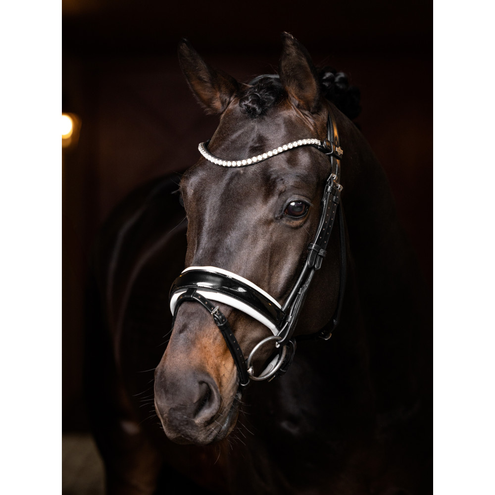 Bandes de repos pour chevaux - CHEVAL DE TROYES