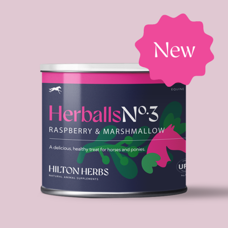 Herballs N° 3 Framboisier & Guimauve Hilton Herbs