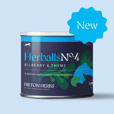 Herballs N° 4 Myrtille & Thym Hilton Herbs