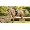 Tapis LeMieux Loire Classic Dressage Square - Aqua