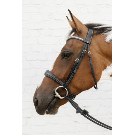 Muserolle Anatomique sans Sous Barbe D Collection Dy'on