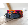 Collier chien Polo HFI - Noir / orange / rose