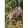 Combo Bridon / Licol HFI - Marron