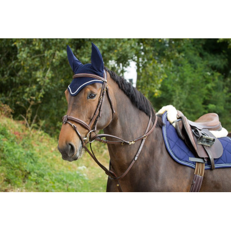 Enrênement Thiedeman HFI