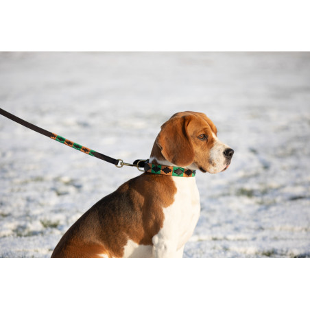 Laisse chien Polo HFI