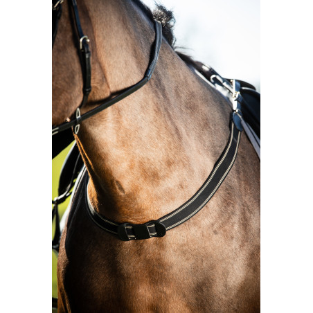 Bricole élastique simple HFI Master