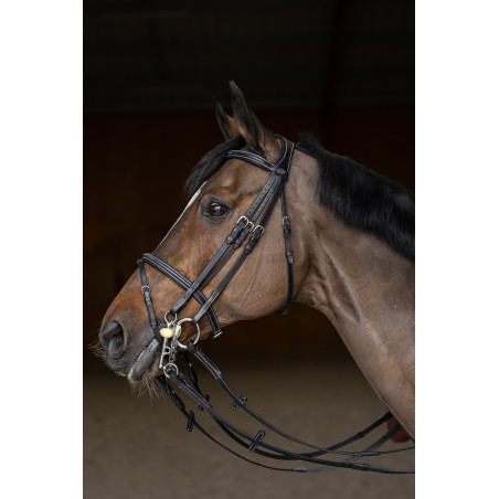 Bride de jumping HFI Master double jump